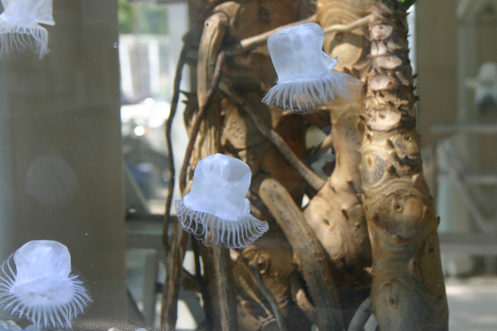 WhiteType:obake