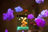 Floating flower & Cocktail grassW