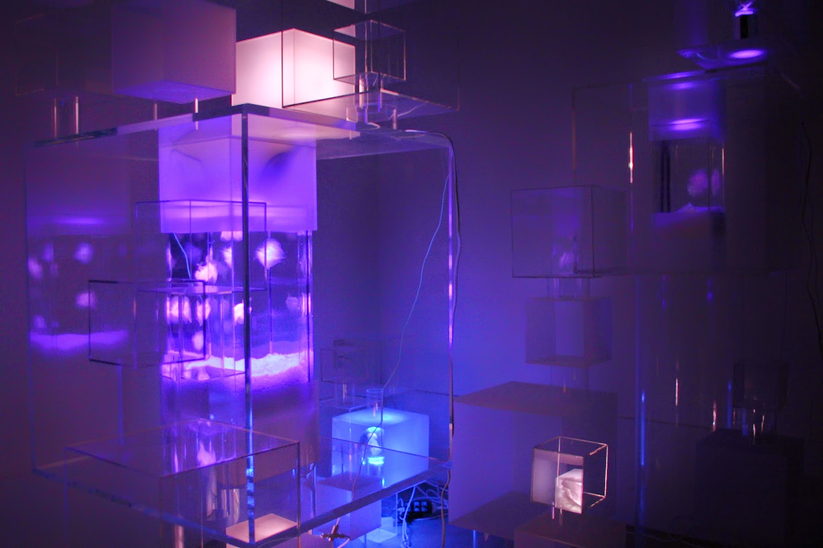 iPS-cube 쌟W