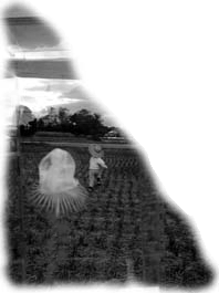 L̝s