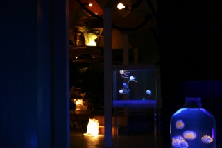 �H�[���M�������[