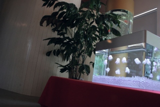 �H�[���M�������[