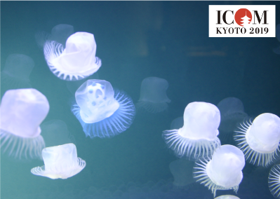 ICOM KYOTO 2019 国際博物館会議 京都大会 に出展します。