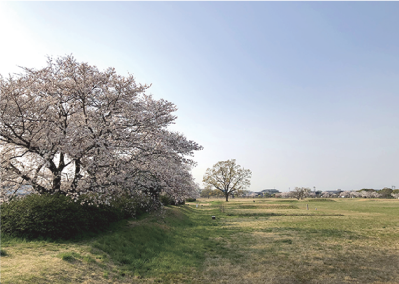 想芸館 お花見会のご案内